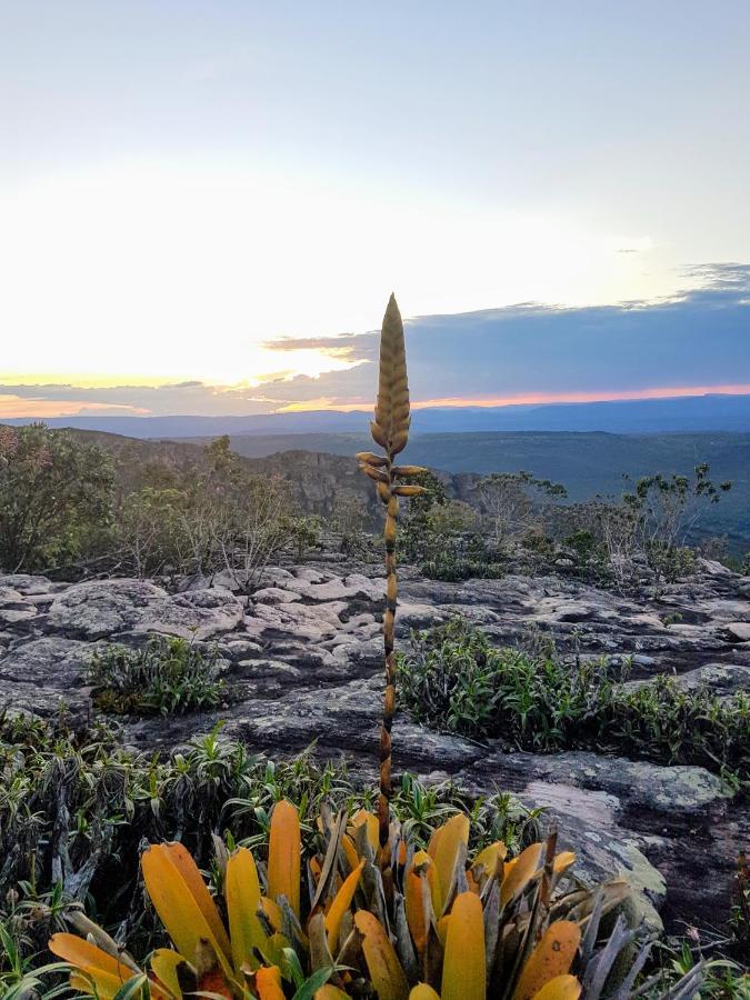 Pitaya Rosa Pousada Lencois Esterno foto